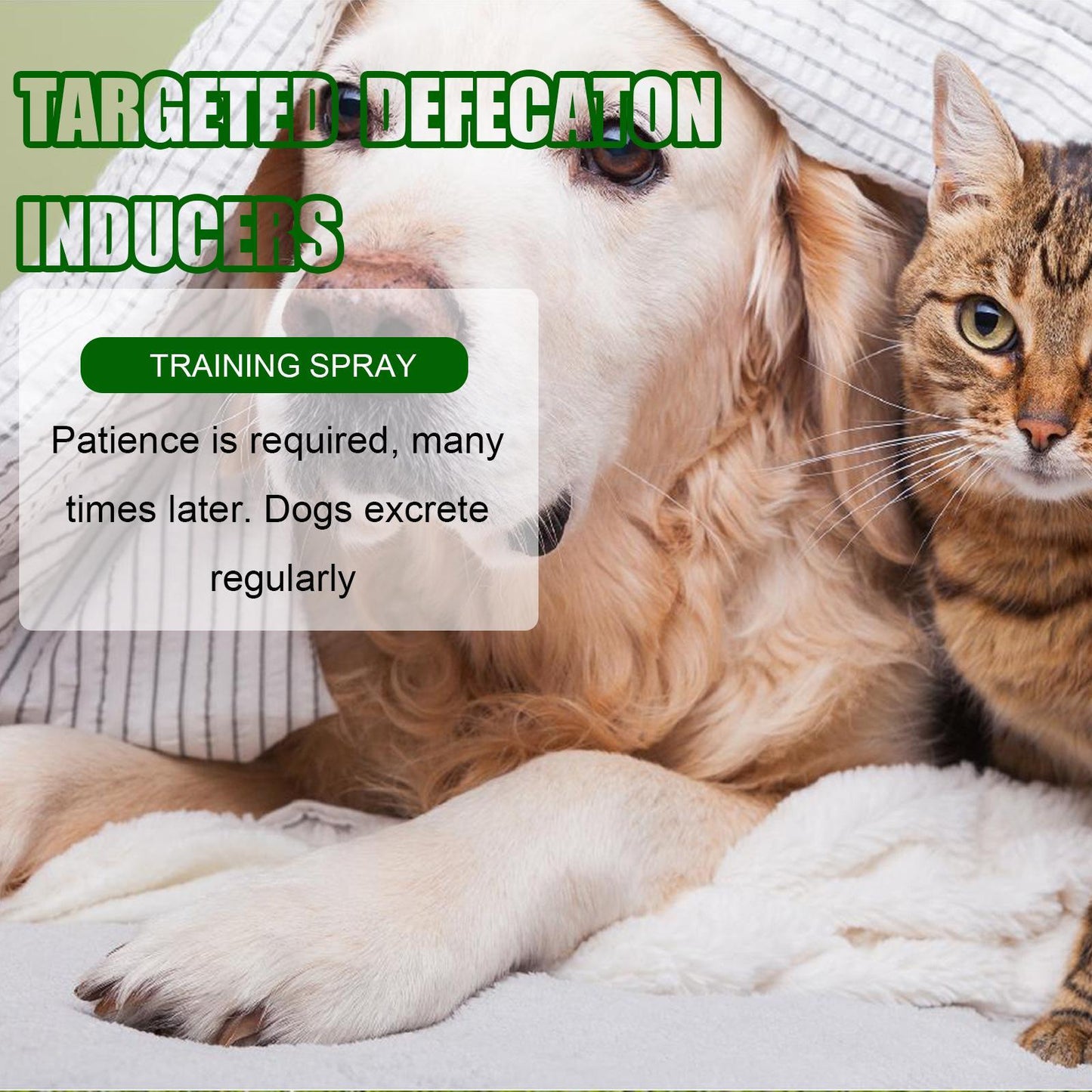 US Local Yibang Pet Positioning Defecation Inducer Pet Toilet Inducer Urine Locator Toilet Training Agent