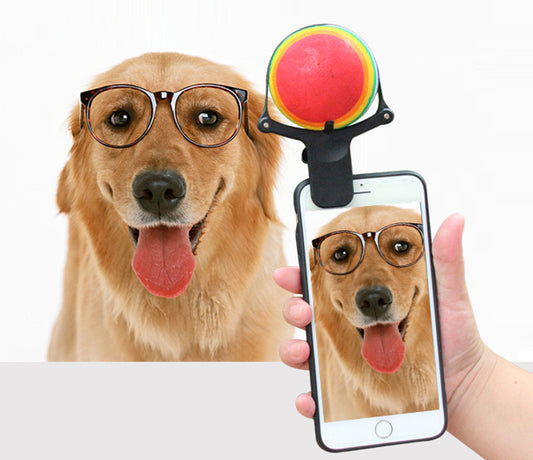 US Local Pet photo props toy pet photo selfie artifact funny dog camera phone clip tennis selfie clip
