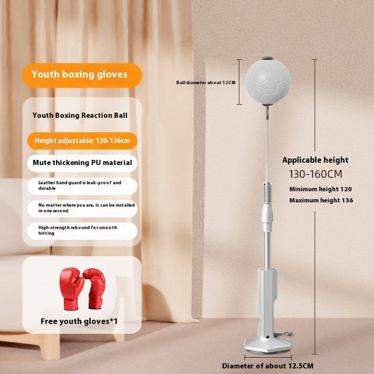 UK Local Boxing Rapid Response Ball Indoor Vertical