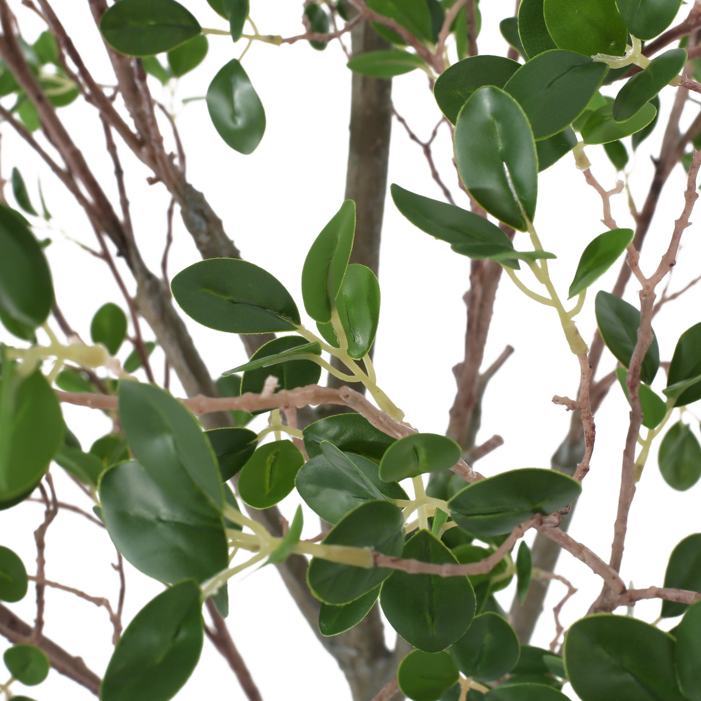 US Local 150CM ARTIFICIAL MILANO LEAF BONSAI