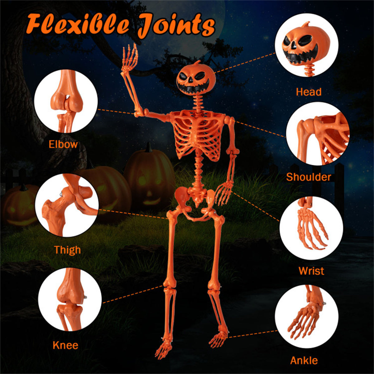 US Local 5.5ft Life-Size Halloween Skeleton with Pumpkin Head - Orange Color, Fully Poseable Joints (Jaw/Shoulders/Knees), PP+PE Material