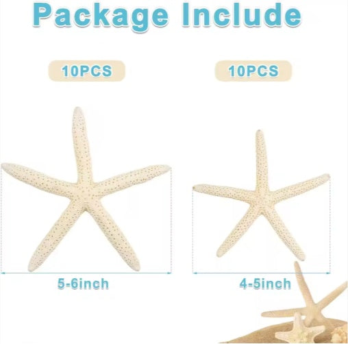 US Local 20 PCS 2-4 Inch 4-6 Inch Bulk Natural Real Starfish For DIY Crafts Wedding Beach Christmas Tree Ornaments