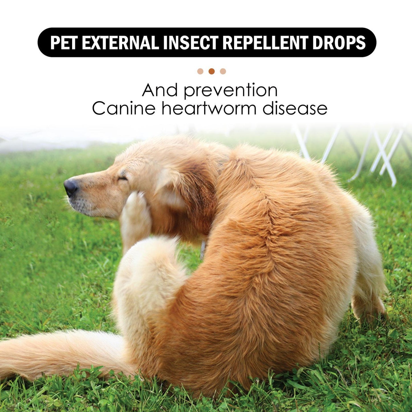 US Local Igbang Pet External Deworming Drops For Cats And Dogs To Remove Ticks And Fleas