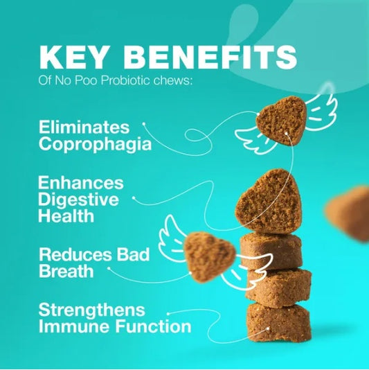 US Local No Poo Chews For Dogs Coprophagia Deterrent For Dogs Forbid For Dogs Stool Eating Deterrent Dog Probiotics For Digestive Health Digestive Gut Immune Health Treats No Poop Eating For Dogs