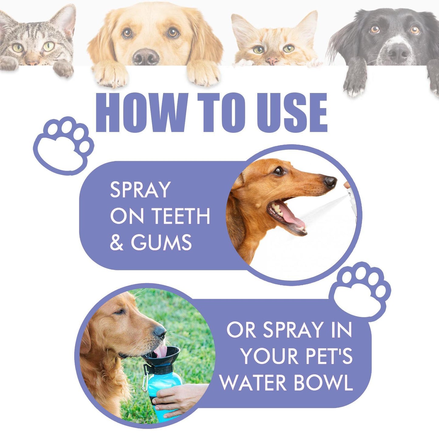 US Local Yegebang Cat And Dog Teeth Cleaning Spray Pet Oral Cleaning Deodorizing Fresh Breath