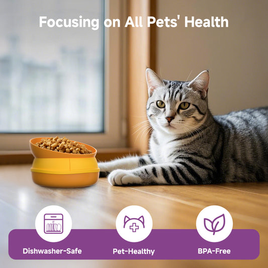 US Local Hamburger Appearance Pet Cat And Dog Bowl Combination Multi-layer Five-in-one