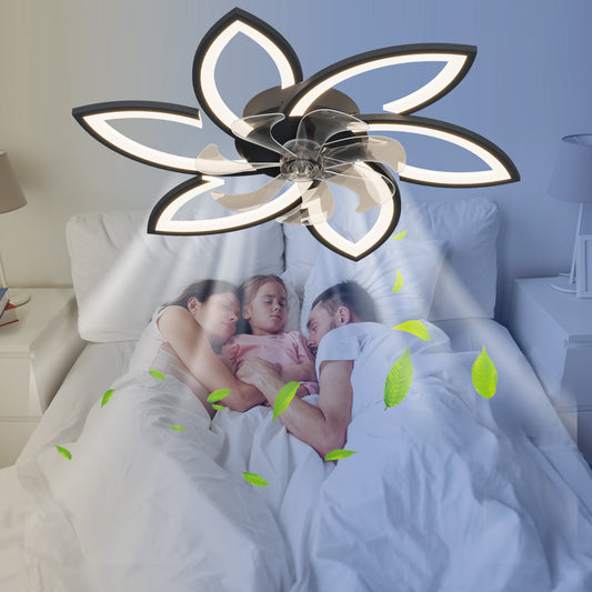 US Local Acrylic Ceiling Fan