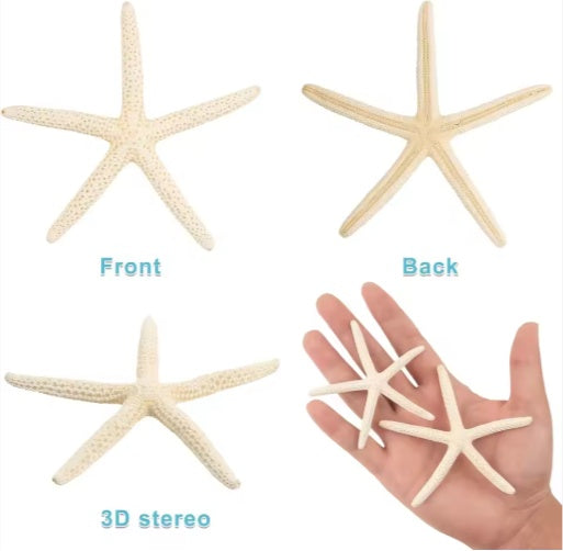 US Local 20 PCS 2-4 Inch 4-6 Inch Bulk Natural Real Starfish For DIY Crafts Wedding Beach Christmas Tree Ornaments