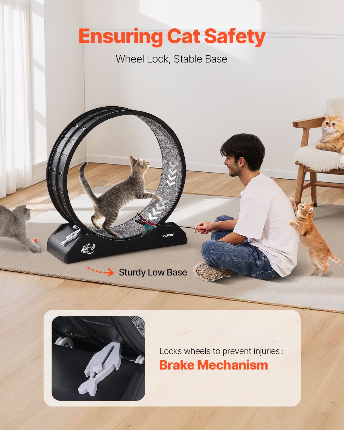 US Local Cat Exercise Wheel 31.5 In Large Indoor Cat Running Wheel Treadmill Black