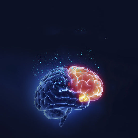 US Local Hand Holding Smart Pulse Head Comfort Sleep Instrument Acupuncture Hypnosis Massage Decompression Insomnia Artifact