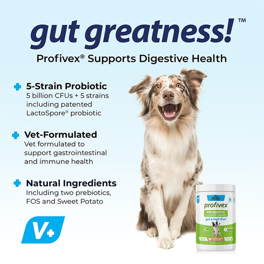 US Local Probiotics Chews For Pets Customized Shape For Digestive Health Pets Supplement Healthy Gut For Dogs