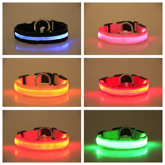 US Local LED Luminous Pet Dog Collar Night