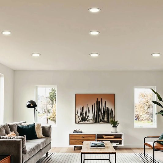 US Local BR30 Indoor Flood Light Bulb 12 Pack 850 Lumens LED Bulbs 3000K Dimmable