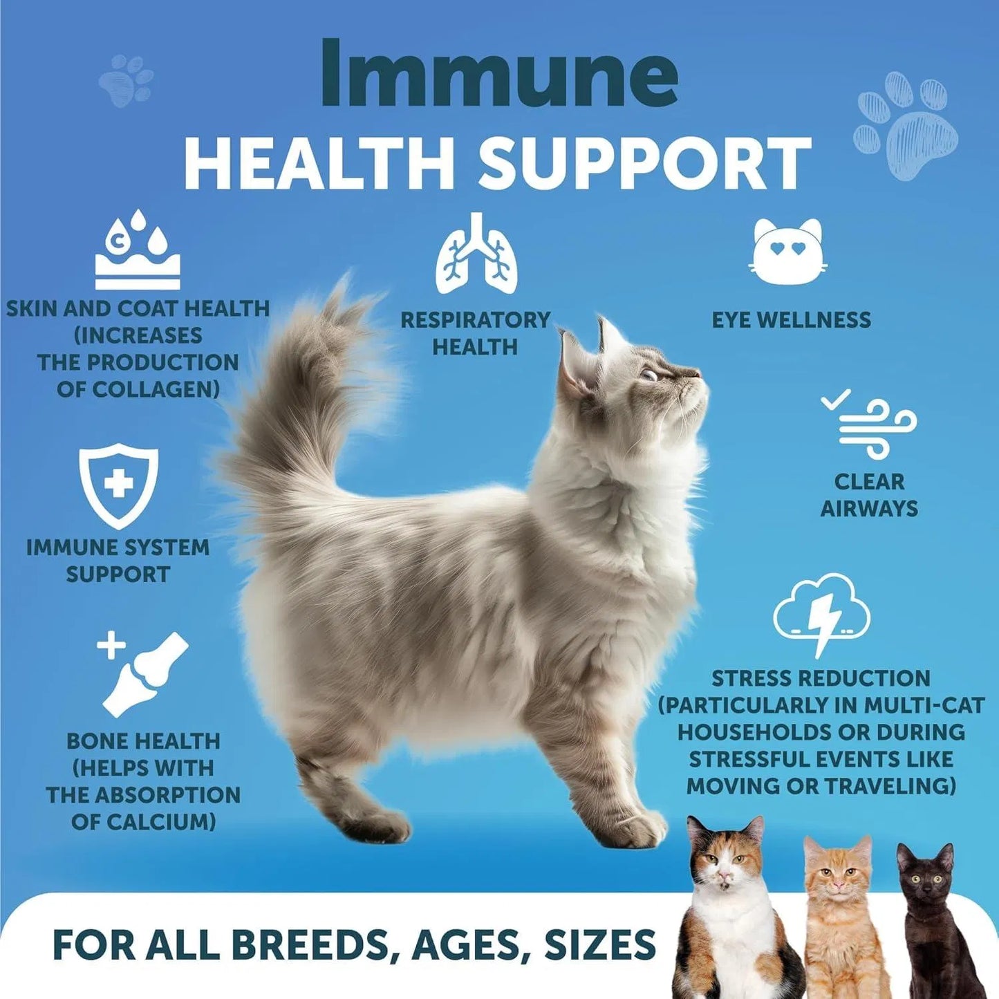 US Local For Cats Lysine Powder Supplement 900mg Serving Immune Support For Cats & Kittens Sneezing Runny Nose Squinting Watery Eyes Cold Eye Respiratory Health With Taurine