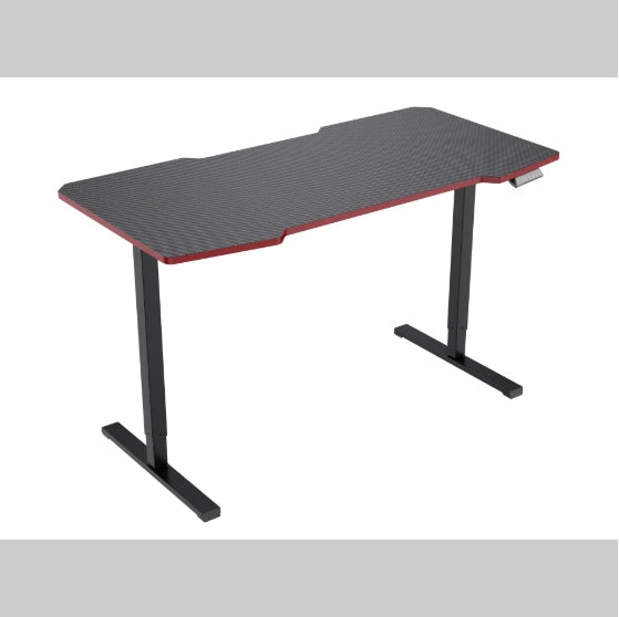 US Local Electric Standing Desk Whole Piece Adjustable Height Desk Home Office Computer Workstation Sit Stand Up Desk