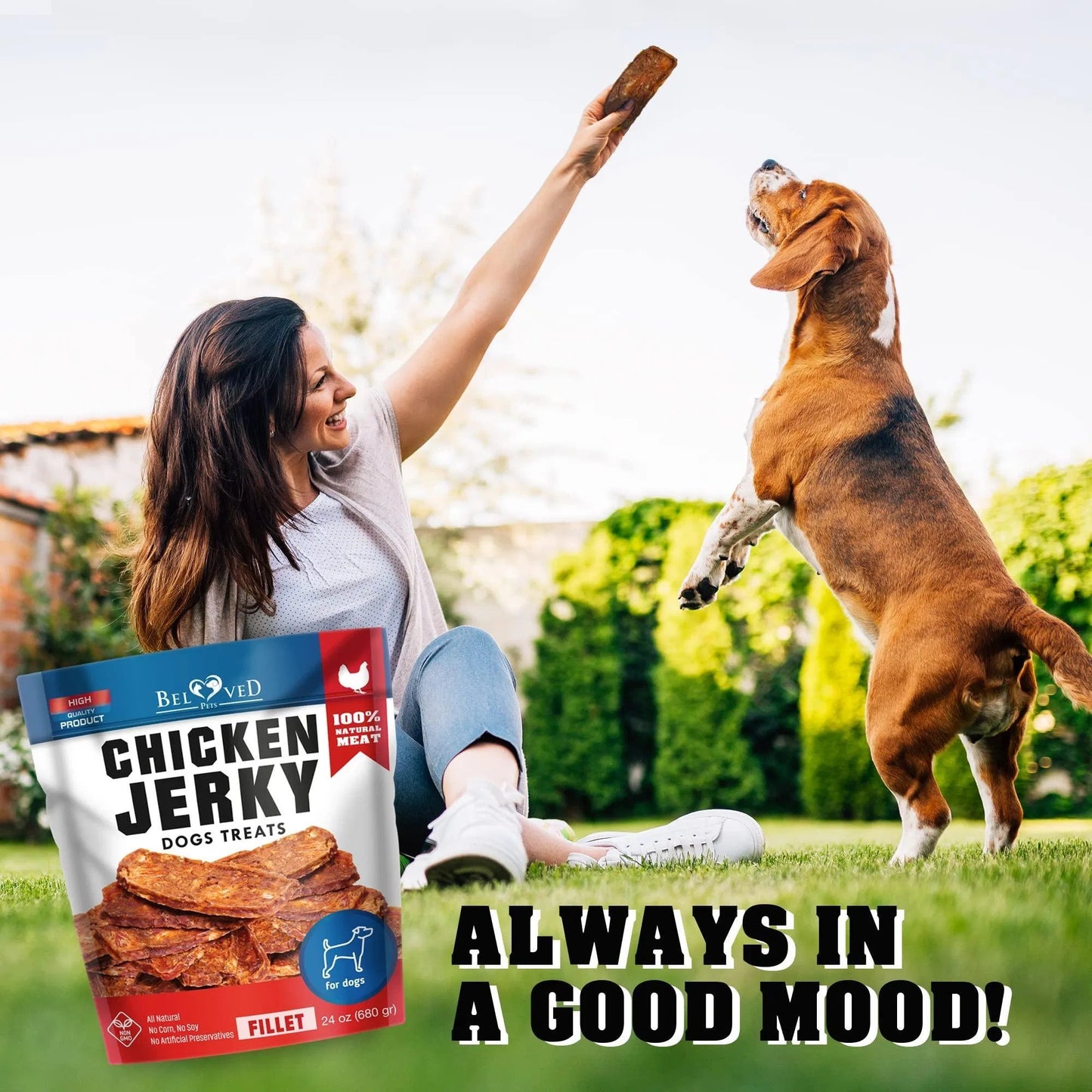 US Local Chicken Jerky Dog Treats 1.5 Lb Human Grade Pet Snacks Grain Free Organic Meat All Natural High Protein Dried Strips Best Chews For Training Small & Large Dogs