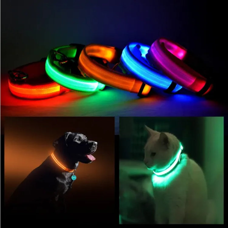 US Local LED PET Safety Halo Style Collar