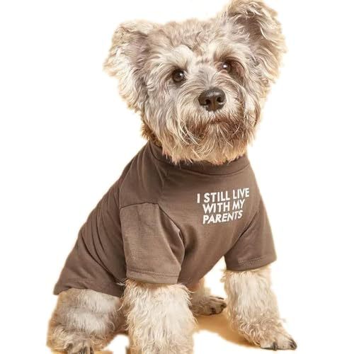 US Local Pet Clothes Round Neck T-shirt