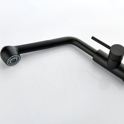 US Local Stainless Steel Matte Black Single Handle Pull Out Spray, Kitchen Faucet