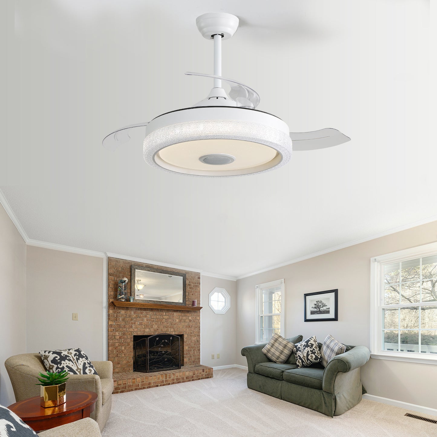 US Local Plastic Remote Control Ceiling Fan