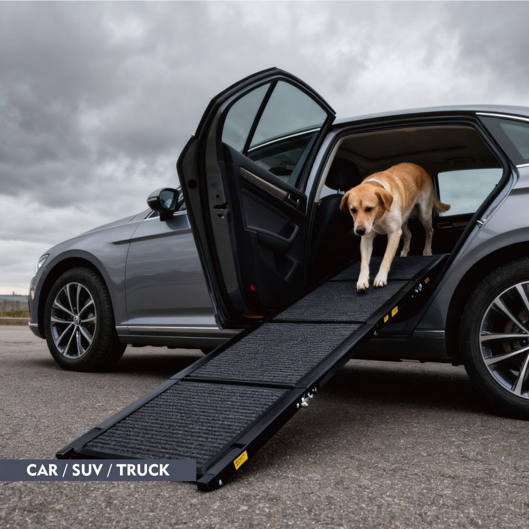 US Local Dog Ramp For Car 71 Long  19.5 Wide Portable Dog Ramps For Large Dogs With Non-Slip Rug Surface Dog Car Ramp For SUV Car  Truck, Folding Dog Ramp Up To 250LBS