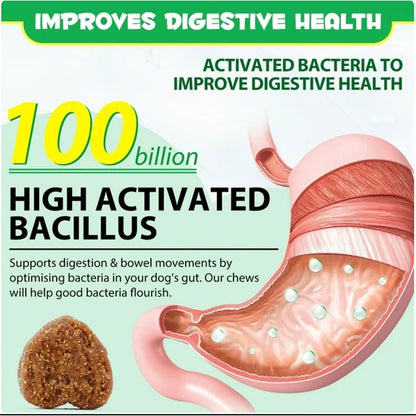 US Local Probiotics Chews For Pets Customized Shape For Digestive Health Pets Supplement Healthy Gut For Dogs