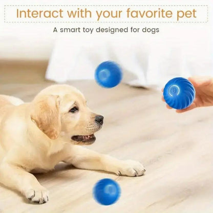 US Local Blue And Orange Pet Bouncing Ball Fun Pet Bouncing Ball For Cats And Dogs