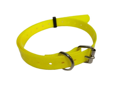 US Local Pet Dog Collars Pet Training Dog Training Equipment