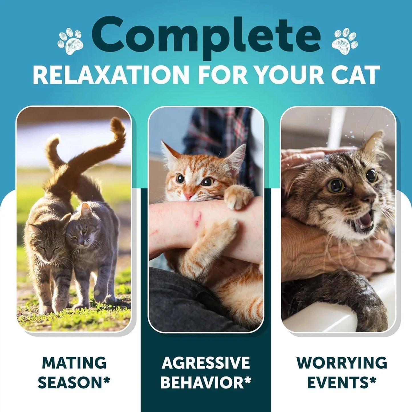 US Local Hemp Cat Calming Treats For Stress & Anxiety Relief Cat Kittens Melatonin