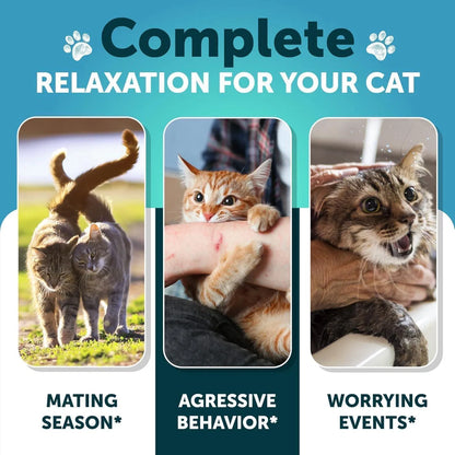 US Local Hemp Cat Calming Treats For Stress & Anxiety Relief Cat Kittens Melatonin