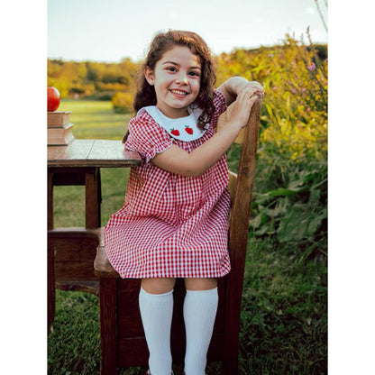 US Local Toddler Kids Girls Back To School Dress Smocked Collar Puff Sleeve Plaid Embroidered Print Dress