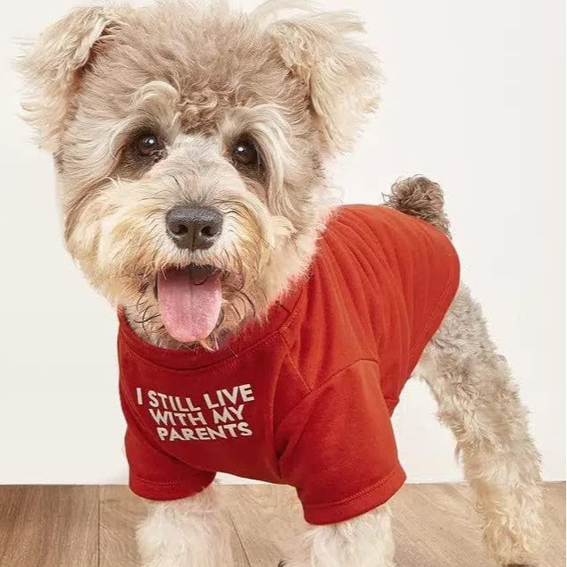 US Local Pet Clothes Round Neck T-shirt