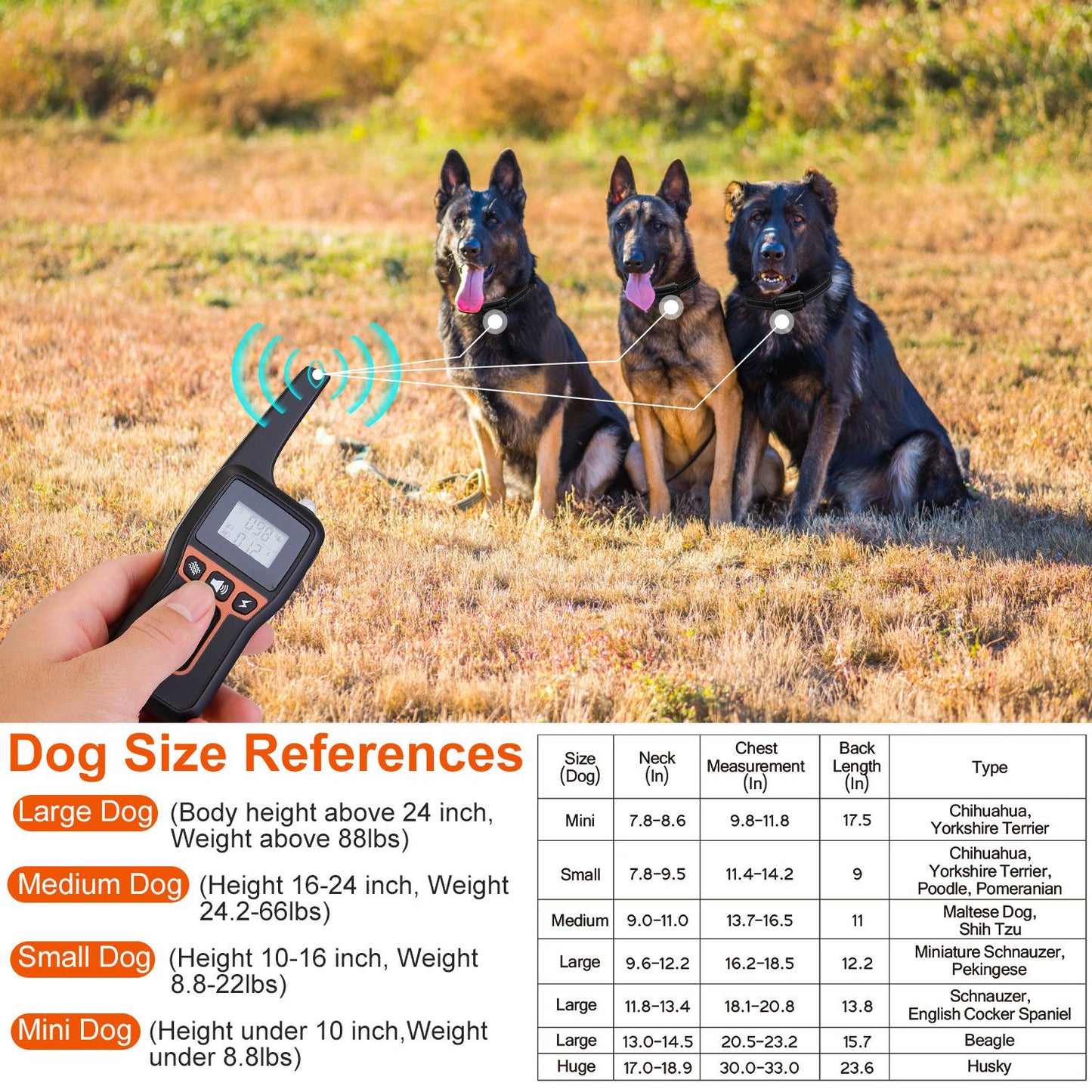 US Local Train Collar OR Receiver Only Options - 3280FT Dog Training Collar IP67 Waterproof Pet Beep Vibration Electric Shock Collar 3 Channels Rechargeable Transmitter Receiver Trainer With Flashlight