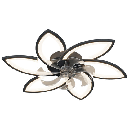 US Local Acrylic Ceiling Fan