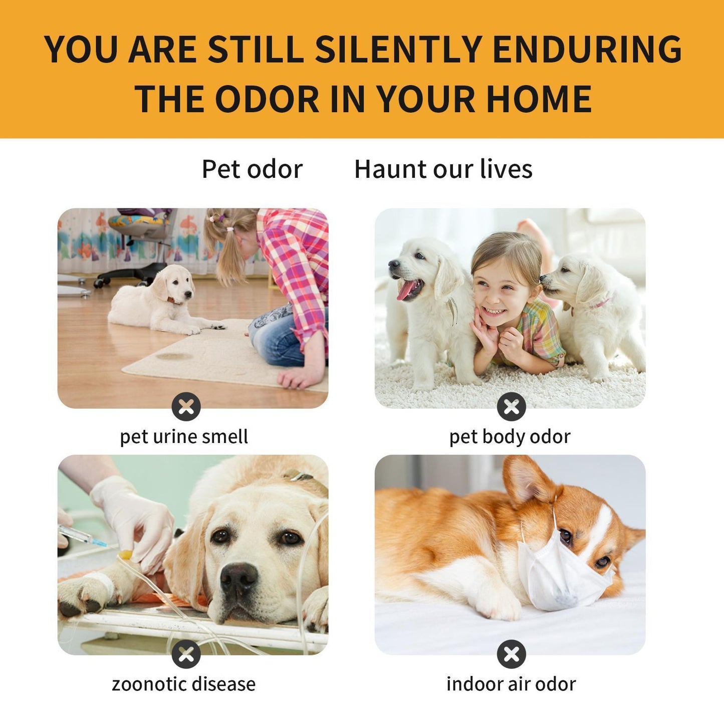 US Local Yebang Pet Fabric Deodorizer Spray Air Clean Pet Odor Indoor Long-lasting Air Freshener Deodorizer