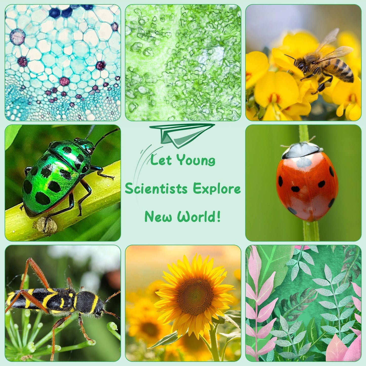 US Local 1Pc 3 In 1 Kids Microscope Telescope Camera 1,000X Handheld USB Mini Microscope With LED Light 6 Sample Slides 32G MMC Card For Boys Girls Aged 6 Years Old