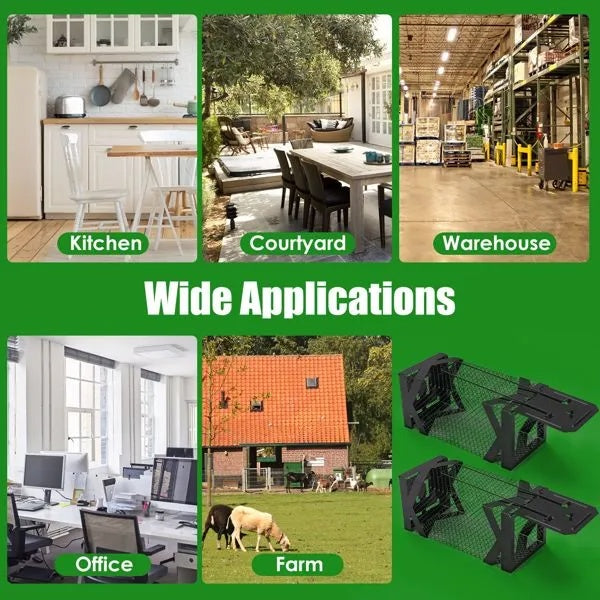 US Local Humane Mouse Trap Cage, Non-Lethal No ElectricityGlueChemicals, Heavy Duty 1.15mm Metal