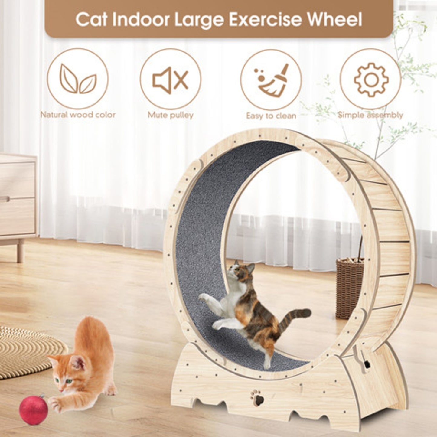 US Local Cat Exercise Wheel For Indoor Cats, Running Wheel With Carpeted Runway