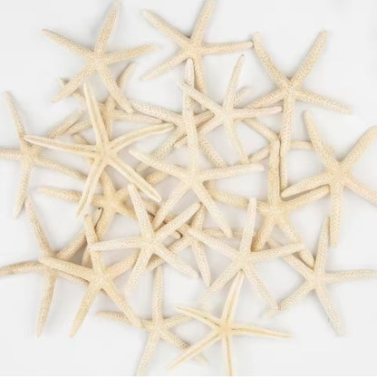 US Local 20 PCS 2-4 Inch 4-6 Inch Bulk Natural Real Starfish For DIY Crafts Wedding Beach Christmas Tree Ornaments