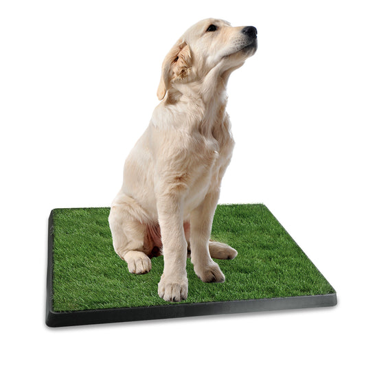 US Local 1 Pc Dog Potty Training Artificial Grass Pad Pet Cat Toilet Trainer Mat Puppy Loo Tray Turf For Small Medium Dogs Indoor Outdoor Use