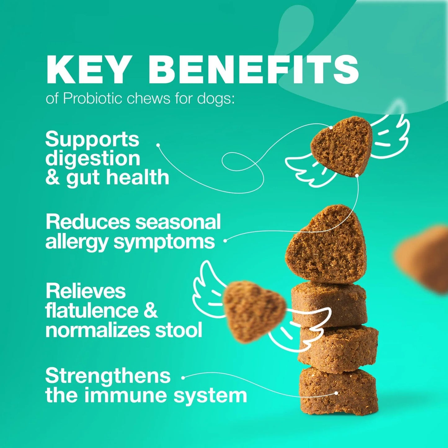 US Local Probiotics For Dogs Support Gut Health Immunity Yeast Balance Itchy Skin Allergies Probiotics And Digestive Enzymes Coprophagia Deterrent For Dogs 180 Probiotic Chews For Dogs