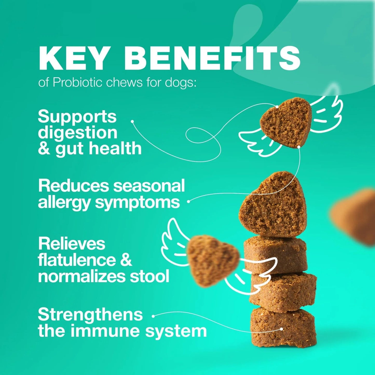 US Local Probiotics For Dogs Support Gut Health Immunity Yeast Balance Itchy Skin Allergies Probiotics And Digestive Enzymes Coprophagia Deterrent For Dogs 180 Probiotic Chews For Dogs