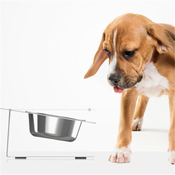 US Local Anti-falling Cat Dog Feeding Water Bowl