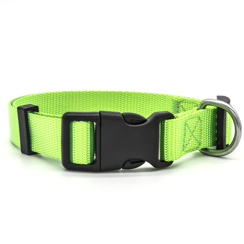 US Local New Pet Collar