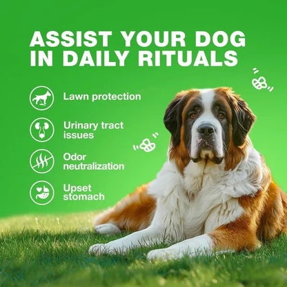 US Local Grass Burn Spot Chews For Dogs Urine Neutralizer