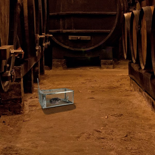 US Local Mouse Trap, Galvanized Iron Mouse Control Bait Catcher