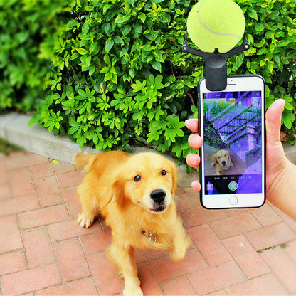 US Local Pet photo props toy pet photo selfie artifact funny dog camera phone clip tennis selfie clip
