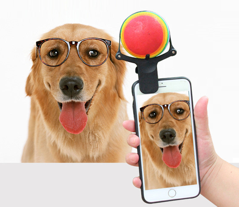 US Local Pet photo props toy pet photo selfie artifact funny dog camera phone clip tennis selfie clip