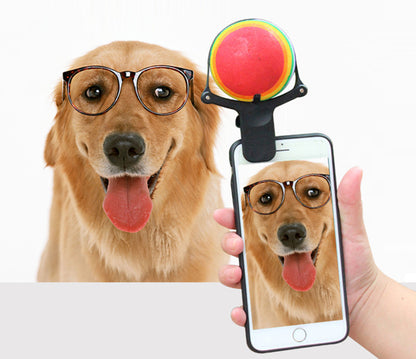 US Local Pet photo props toy pet photo selfie artifact funny dog camera phone clip tennis selfie clip
