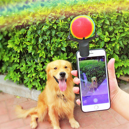 US Local Pet photo props toy pet photo selfie artifact funny dog camera phone clip tennis selfie clip